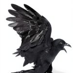 Poetry About Death Kindle eBook by Random House-0